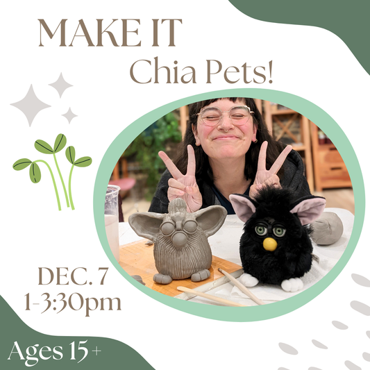 MAKE IT - Chia Pets!